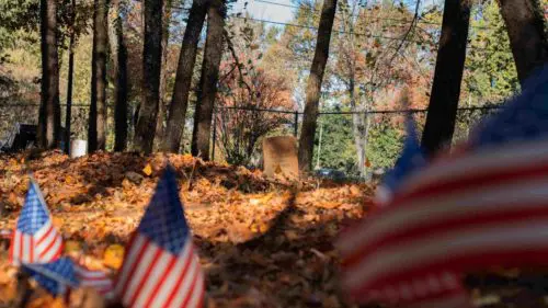 An image of the landscape at Cedar Grove Cemetery.