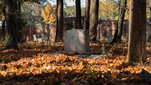 An image of the Hairston family plot at Cedar Grove Cemetery.