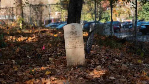An image of World War II veteran Adam Davis’s gravestone at Cedar Grove Cemetery.