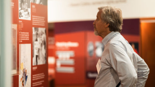Man taking in an exhibition