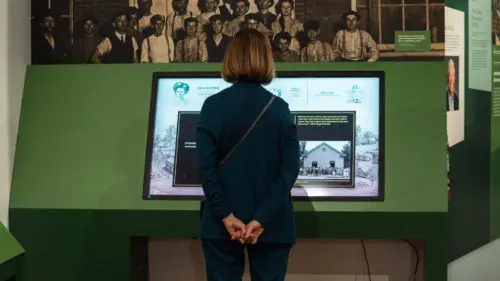 Woman taking in an exhibition