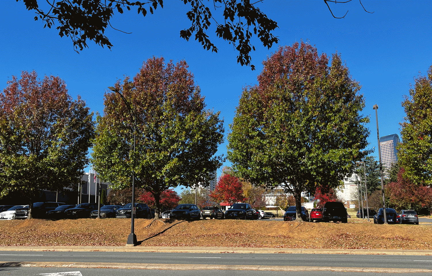 Animated image of the location of the Savoy Theater today with the historic photo overlayed
